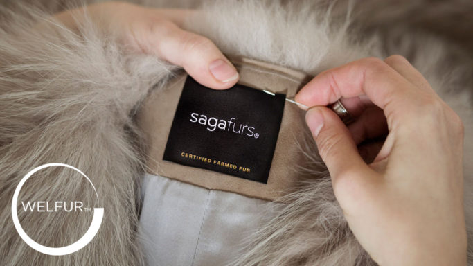 Farm certification - Sagafurs